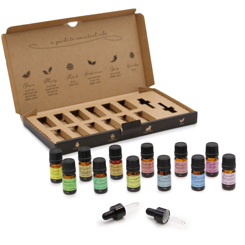 Aroma Bliss Essential Oil Set - Starter Pack