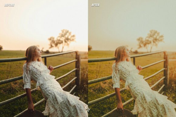 Celluloid Dreams: 15 Vintage Cinema Lightroom Presets 🎬