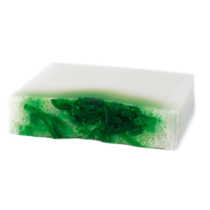 Wild & Natural Hand-Crafted Soap
