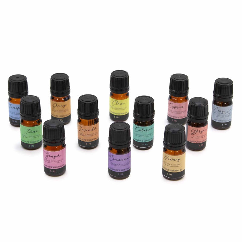 Harvest Bliss: Aromatherapy Essential Oil Set - Autumn Collection